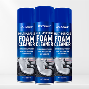 Aerosol All Purpose Foam Stain Remover Cleanser