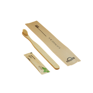 Eco-Friendly Biodegradable Bamboo Toothbrush Dental Kit